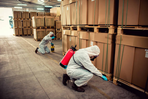 Best Mosquito Control Services  in Remlap, AL