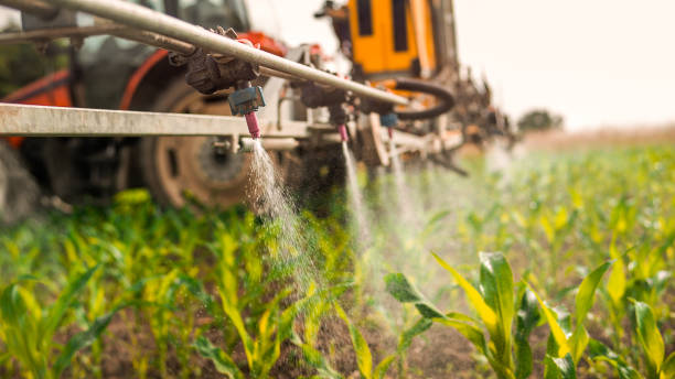 Best Pest Removal Services  in Remlap, AL